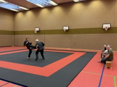 IMG_2117_Techniken_04