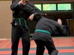 IMG_2117_Techniken_11