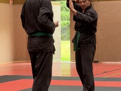 IMG_2117_Techniken_14