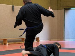 IMG_2117_Techniken_23
