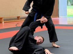 IMG_2117_Techniken_27