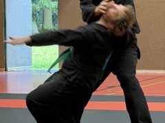 IMG_2117_Techniken_31