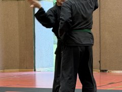 IMG_2117_Techniken_33