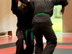 IMG_2117_Techniken_36