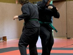 IMG_2117_Techniken_41