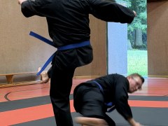 IMG_2117_Techniken_44