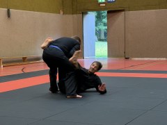 IMG_2117_Techniken_52