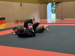 IMG_2117_Techniken_58