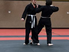 20240320_042_iA5759-scaled
