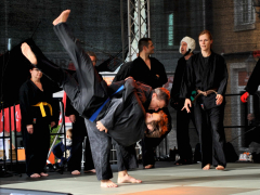 TagDerVereineGT_12