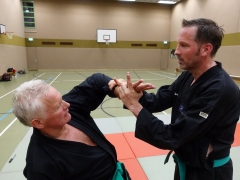 Kipphandhebel 2